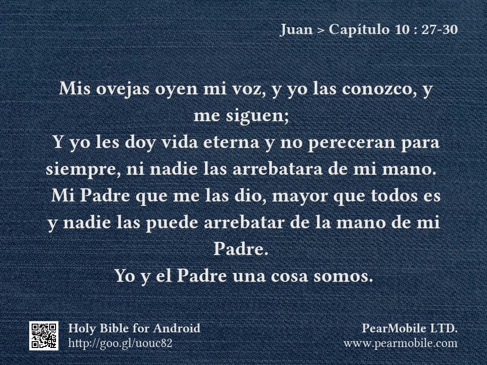 Juan, Capítulo 10:27-30